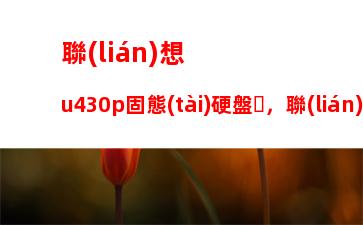 聯(lián)想昭陽k29升級：聯(lián)想昭陽K29升級超低電壓處理器